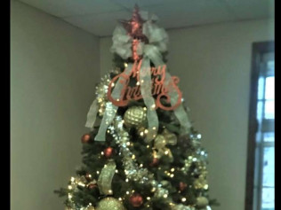 Events Aliceville Manor Nursing Home